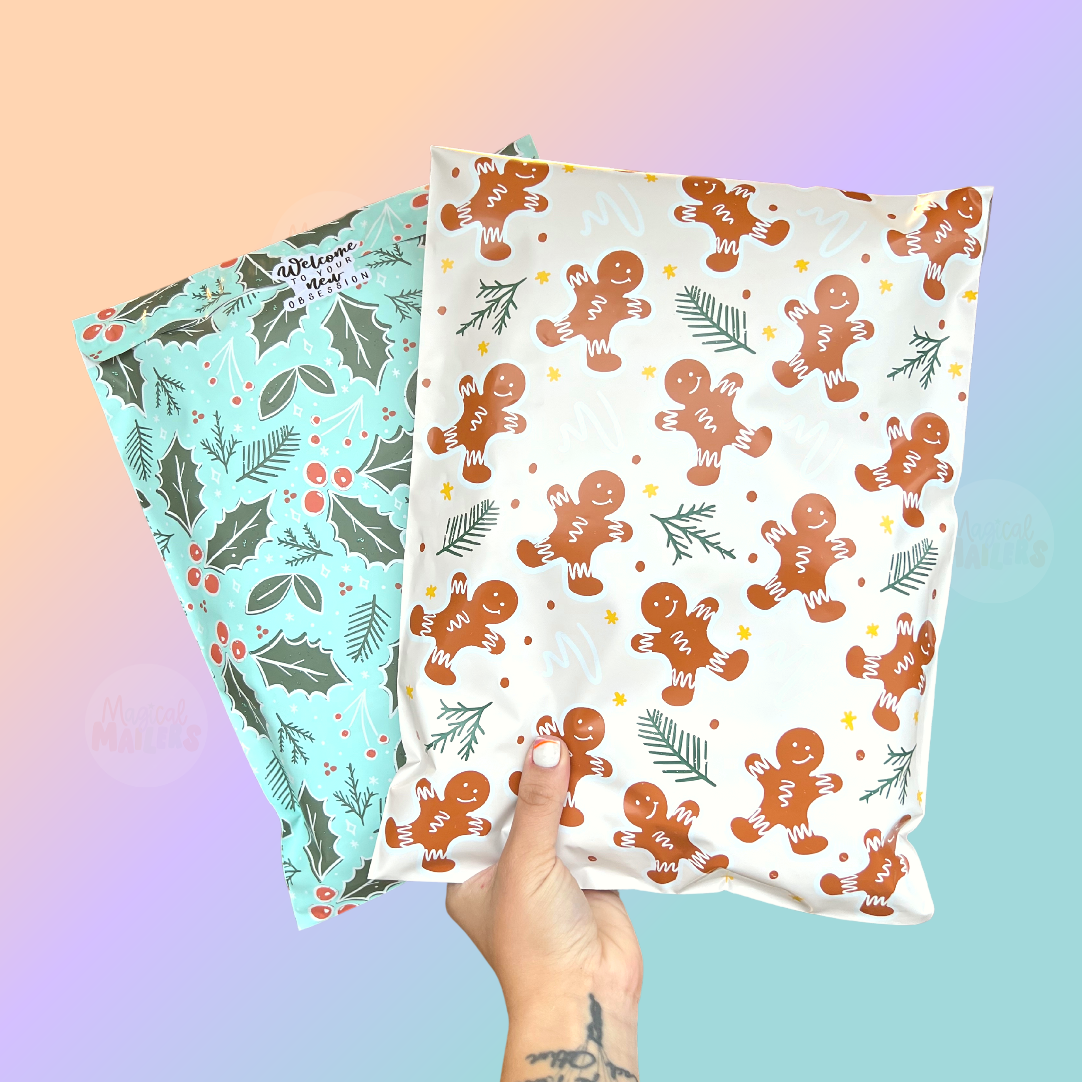 ⭐️IMPERFECT ⭐️ Blue Holly Poly Mailer